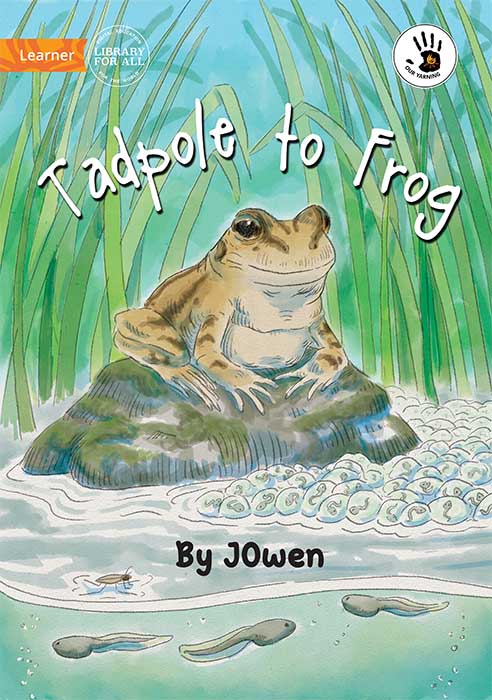 Tadpole to Frog