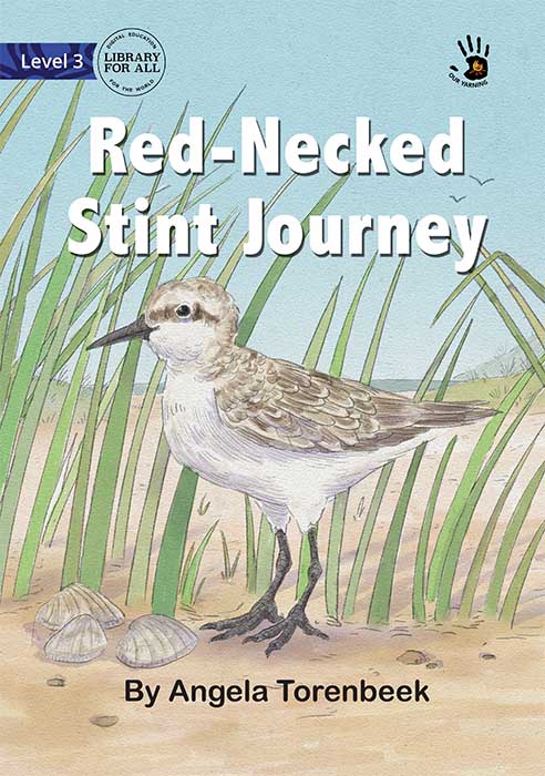Red-Necked Stint Journey