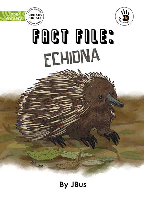 Fact File: Echidna